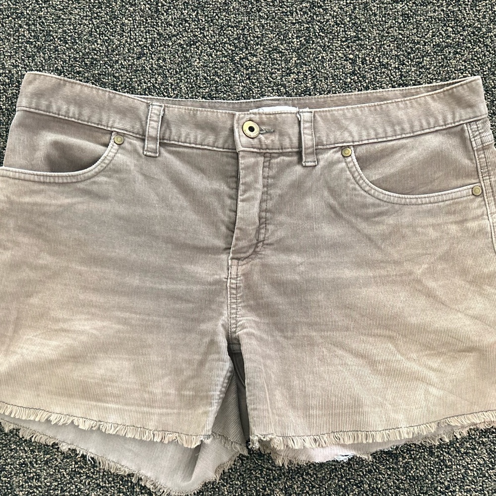 Carve Designs Dogtown 4" shorts